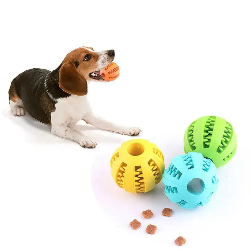 Chew Toys