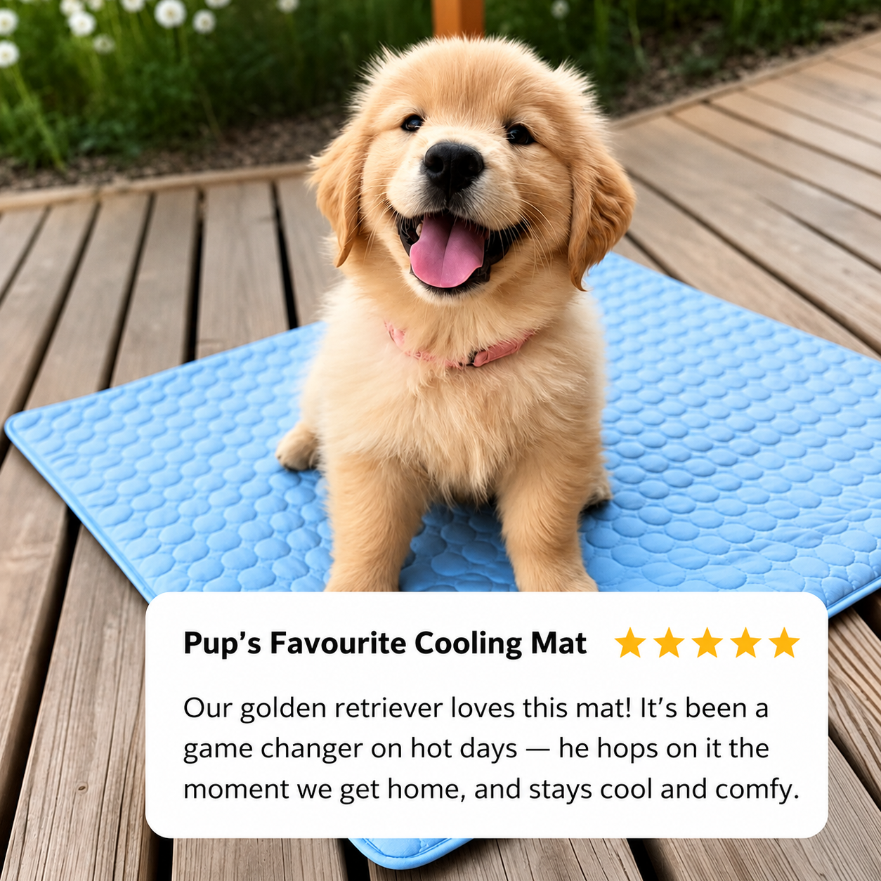 🐾 Arctic Self-Cooler Mat 🐾