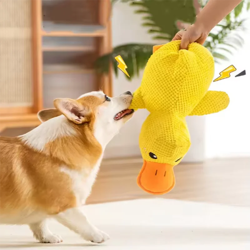 🐾 Squeaky Duck Plush 🐾