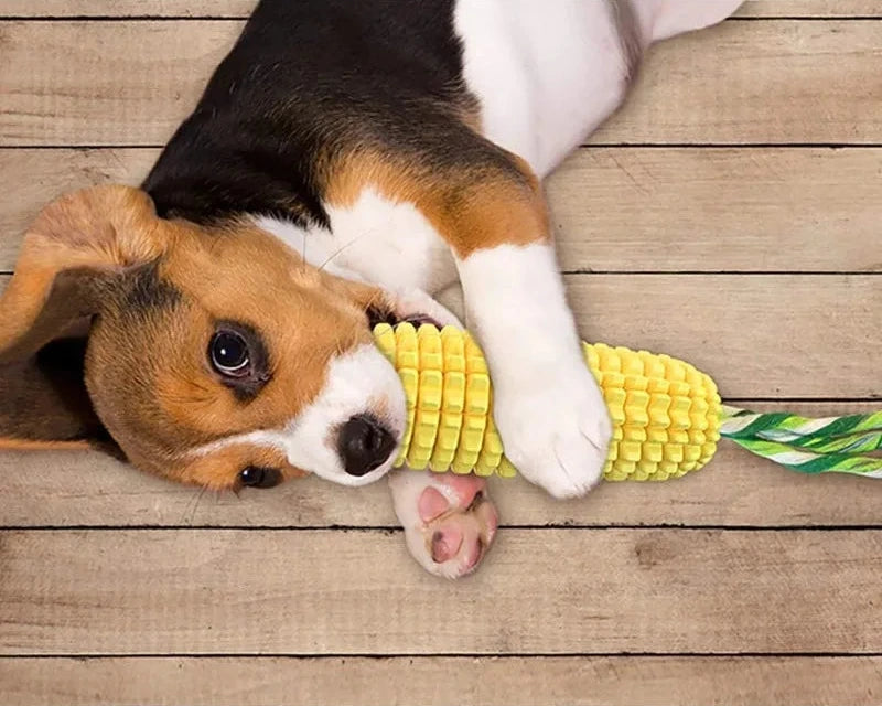🐾 Squeaky Corn Chew 🐾