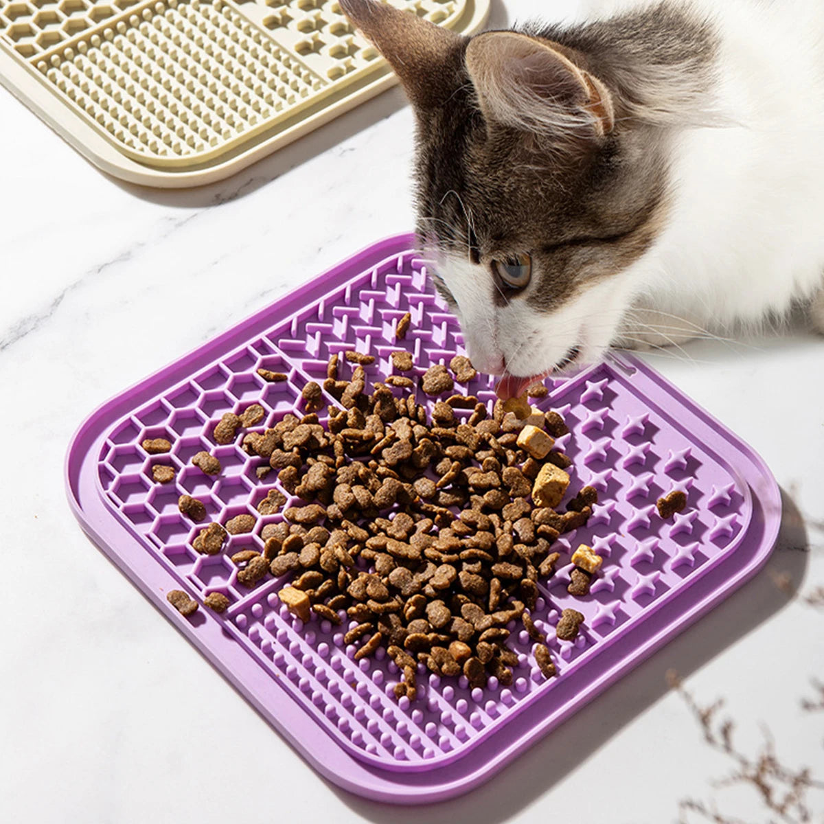 🐾 Slow Feeder Mat 🐾
