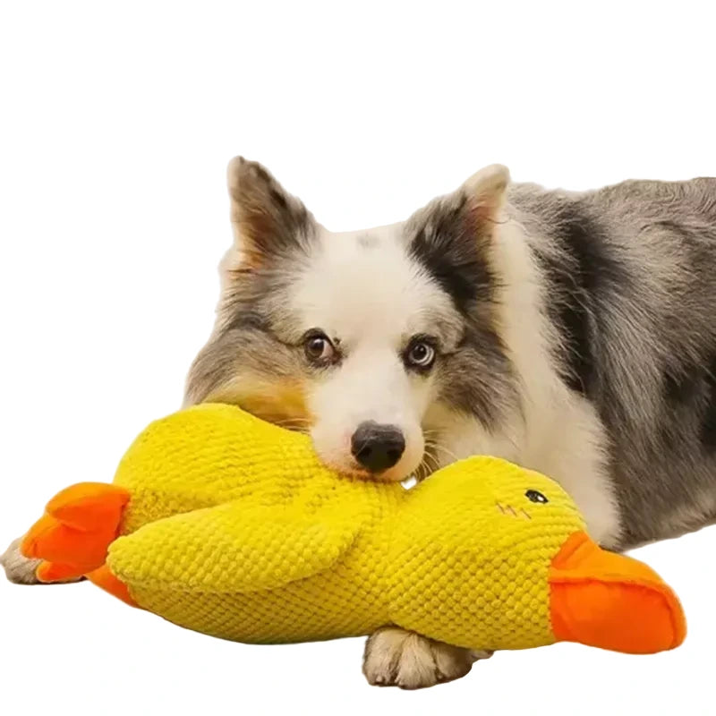 🐾 Squeaky Duck Plush 🐾