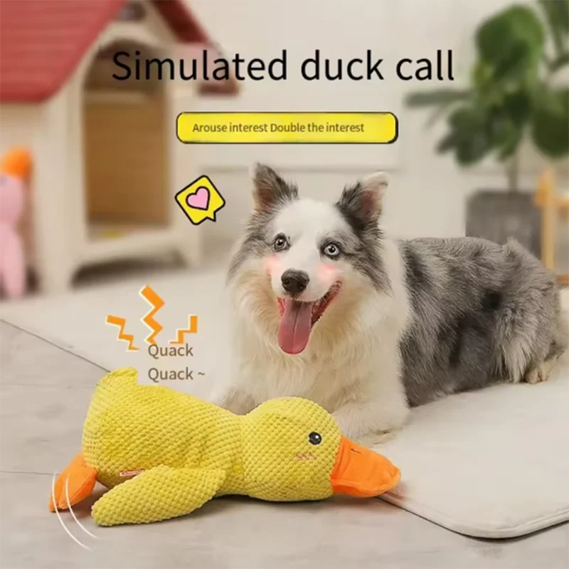🐾 Squeaky Duck Plush 🐾
