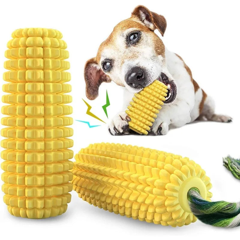 🐾 Squeaky Corn Chew 🐾
