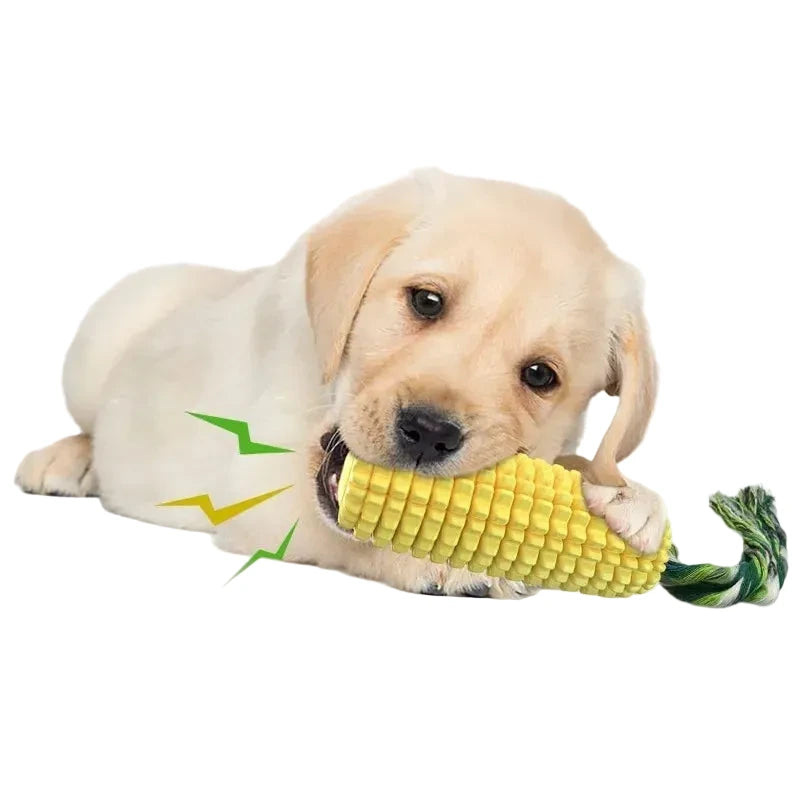 🐾 Squeaky Corn Chew 🐾