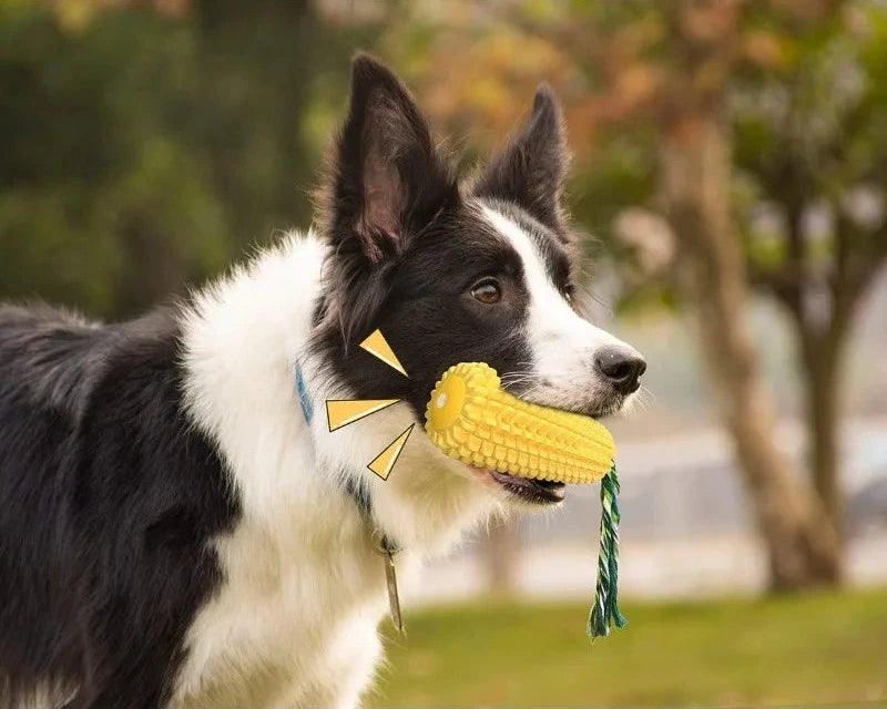 🐾 Squeaky Corn Chew 🐾