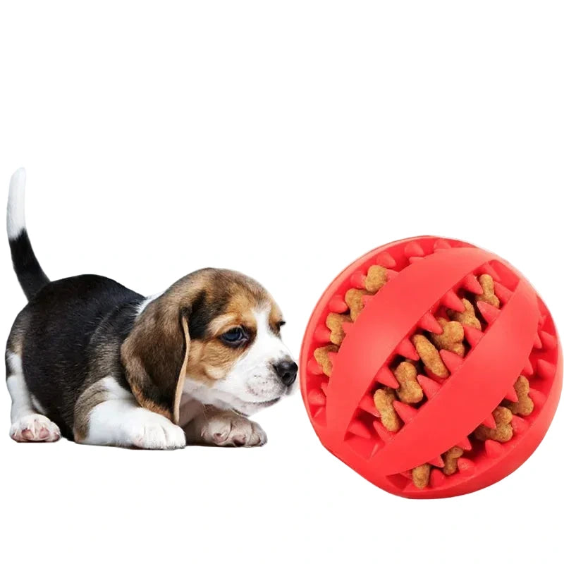 🐾 Durable Puppy Chew Ball 🐾